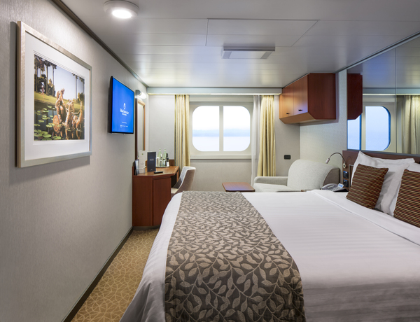 Holland America Nieuw Amsterdam Oceanview Staterooms 5.jpg